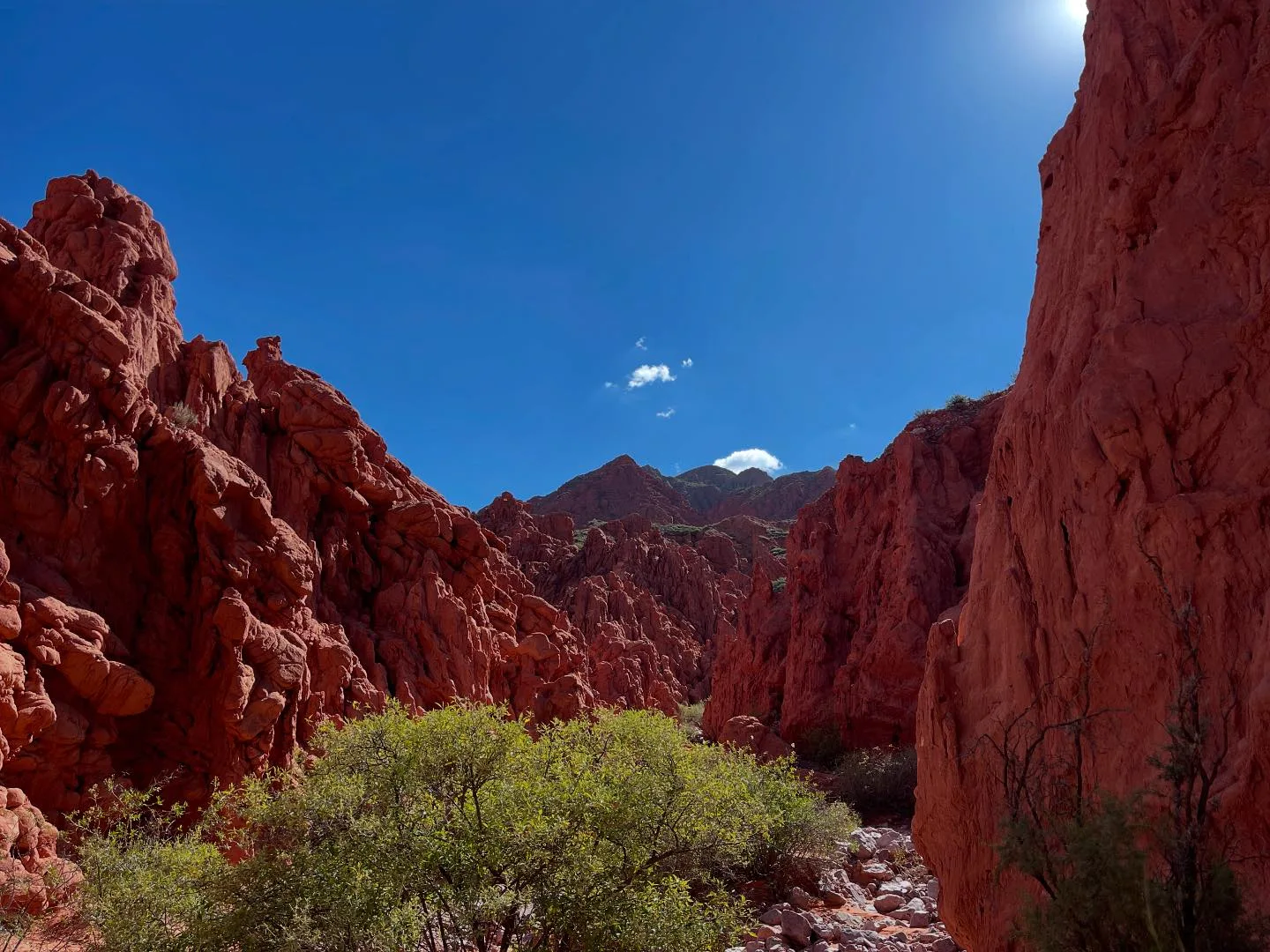 Unseren eigentlichen Plan, über den Jama-Pass und dementsprechend nochmal durch Chile nach Bolivien zu fahren, änderten wir, nachdem dieser innerhalb einer Woche mehrfach wegen Schneefall und Erdrutschen gesperrt wurden war. Aus diesem Grund ging es für uns durch Nordargentinien, wo wir bereits merkten, wie sich die Kultur veränderte. Wir genossen die letzten Tage in dem Land, wo wir die meiste Zeit unserer Reise verbracht hatten und verabschiedeten uns dann am 6. April nach Bolivien. Direkt die ersten beiden Abende wurden dann aufgrund starker Gewitter zu einem Albtraum. Zum Glück wurden wir danach jedoch verschont und machten in Tupiza eine wunderschöne Reittour. Anschließend forderten uns auf dem Weg nach Uyuni noch einmal einige Höhenmeter, die wir jedoch mit der Aussicht auf eine längere Fahrradpause verkraften konnten.