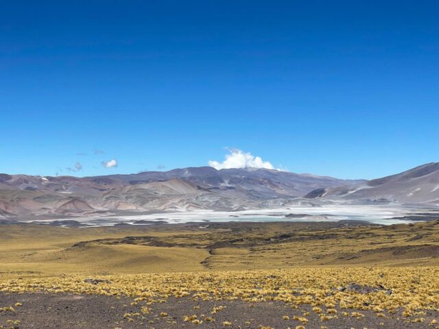 Nach dem San Francisco Pass folgte für uns eine schöne lange Abfahrt. Da wir uns sehr auf eine Pause freuten, wollten wir dann so schnell wie möglich nach Salta kommen. Auf dem Weg dorthin hatten wir jedoch mit einer kaputten Kurbel zu kämpfen, sodass wir schlussendlich die letzten knapp 80 Kilometer trampen mussten. Zunächst ein ziemliches Drama für uns, doch im Nachhinein eine Erfahrung, bei der wir so viele nette Menschen kennen lernen durften, die wir niemals missen wollen würden.  Auch unsere Zeit in Salta lief leider nicht ganz wie erwartet, da man auf dem einzigen Campingplatz der Stadt nicht zelten durfte.

PS: Zu diesem und den folgenden Beiträgen wird es erstmal keinen ausführlichen Blogbeitrag geben, da wir in der letzten Zeit keine Zeit und auch keine Lust hatten, alles aufzuschreiben. Eventuell holen wir das aber noch nach, sobald wir wieder zu Hause sind.